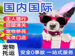 昌都邦达机场快运国际宠物托运 【国
